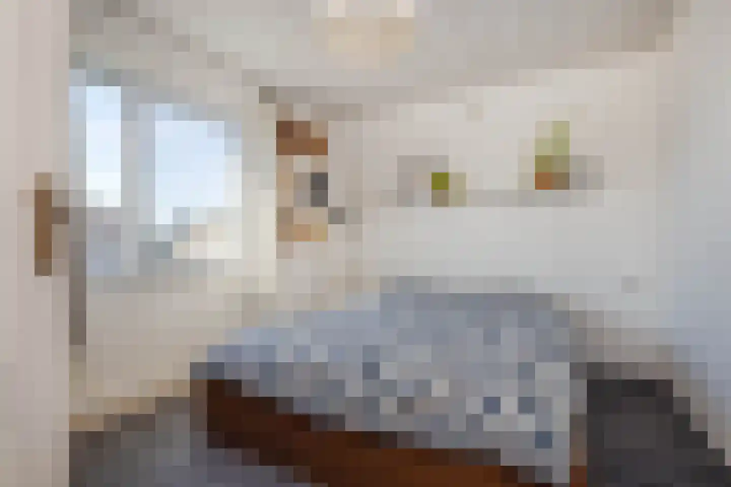 Doctor Poelsstraat 21 Elsloo thumbnail 19