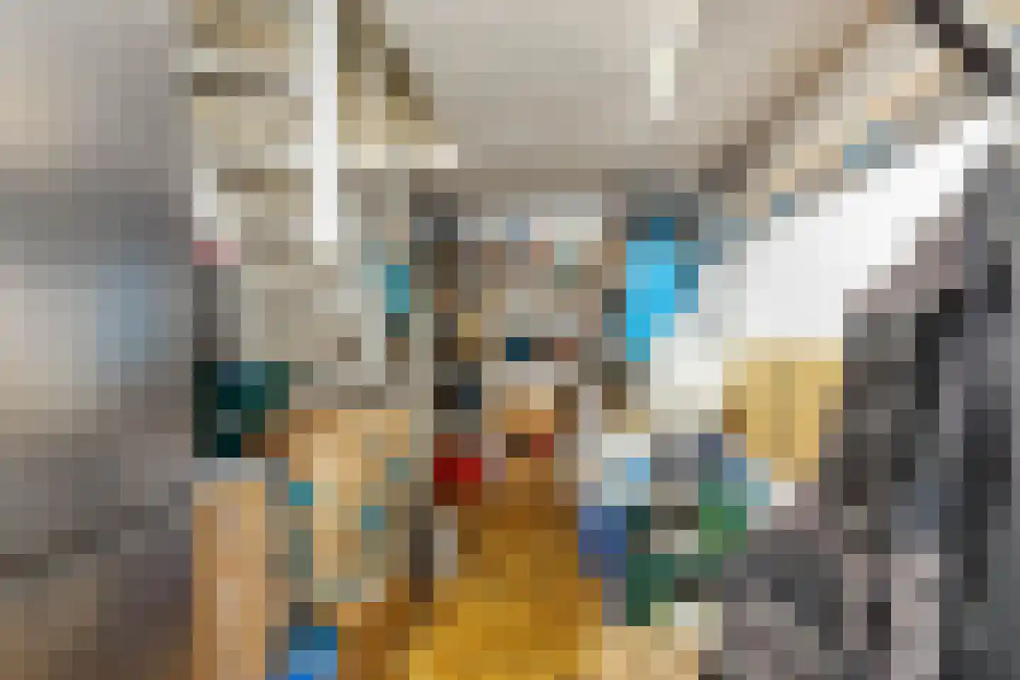 Doctor Poelsstraat 21 Elsloo thumbnail 25