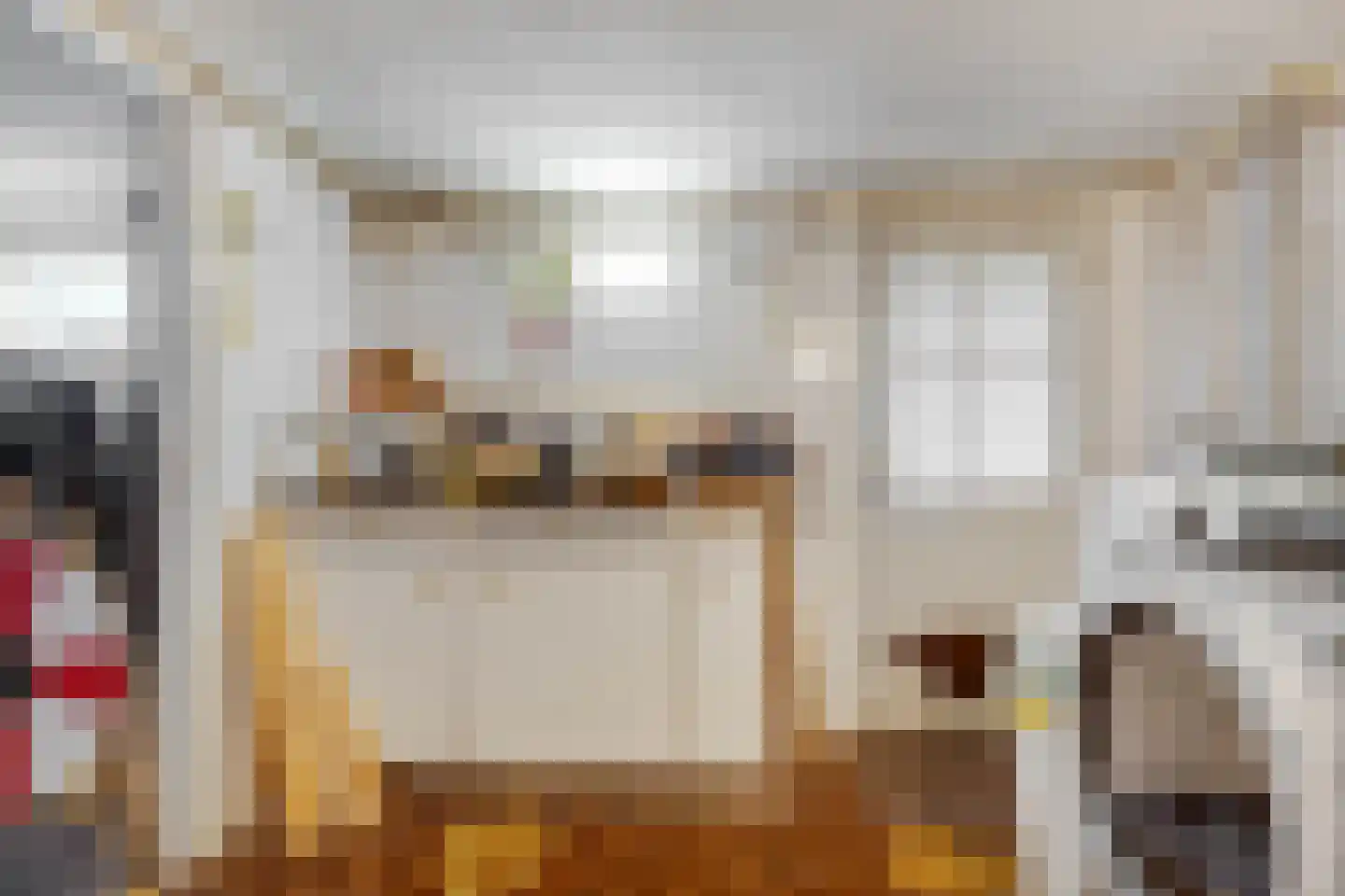 Doctor Poelsstraat 21 Elsloo thumbnail 26