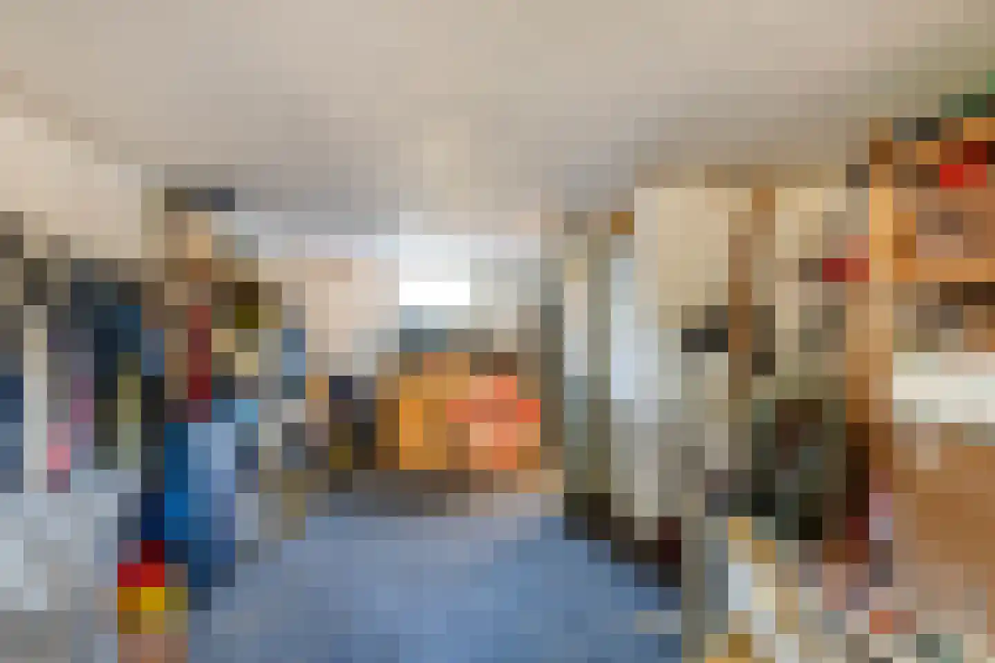 Doctor Poelsstraat 21 Elsloo thumbnail 29