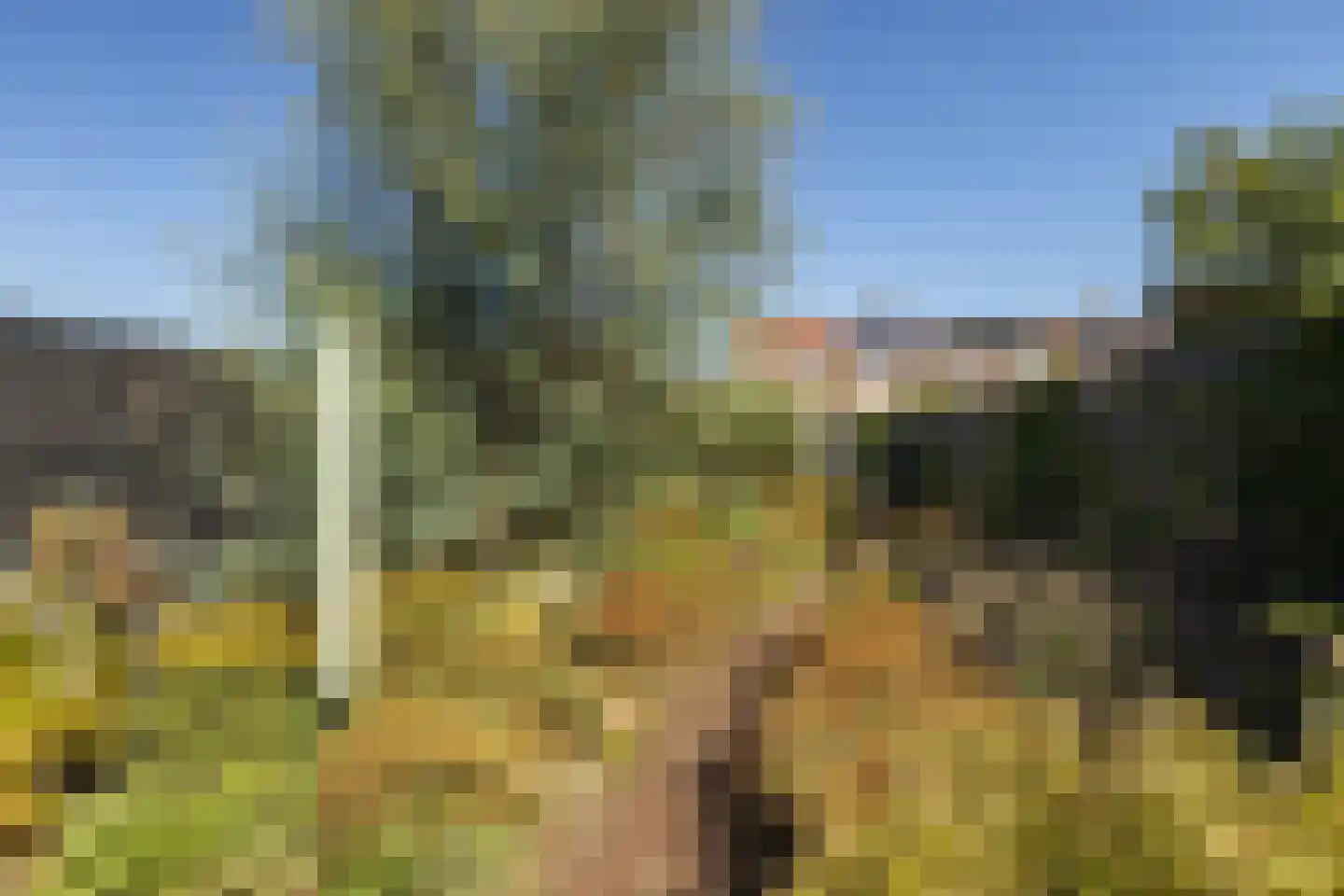Doctor Poelsstraat 21 Elsloo thumbnail 34