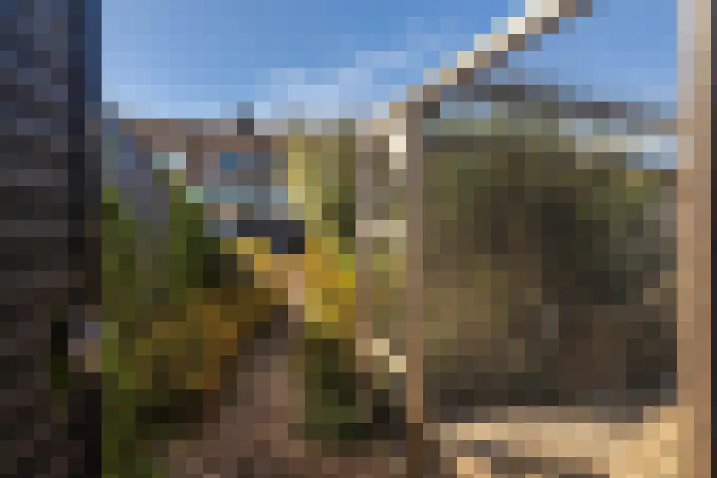 Doctor Poelsstraat 21 Elsloo thumbnail 37