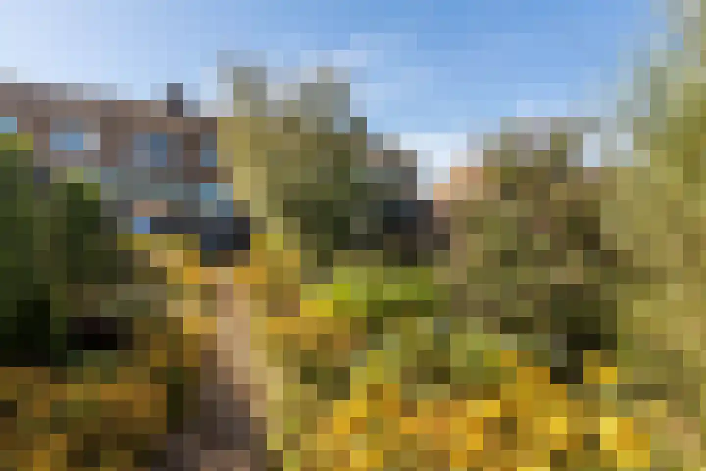 Doctor Poelsstraat 21 Elsloo thumbnail 38