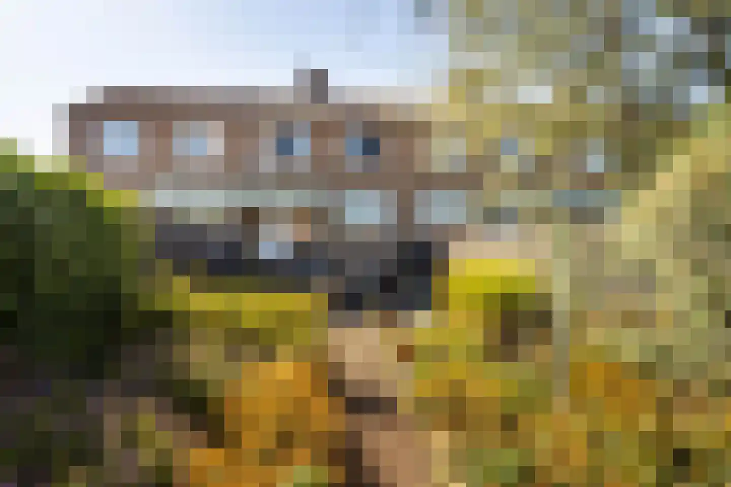 Doctor Poelsstraat 21 Elsloo thumbnail 39
