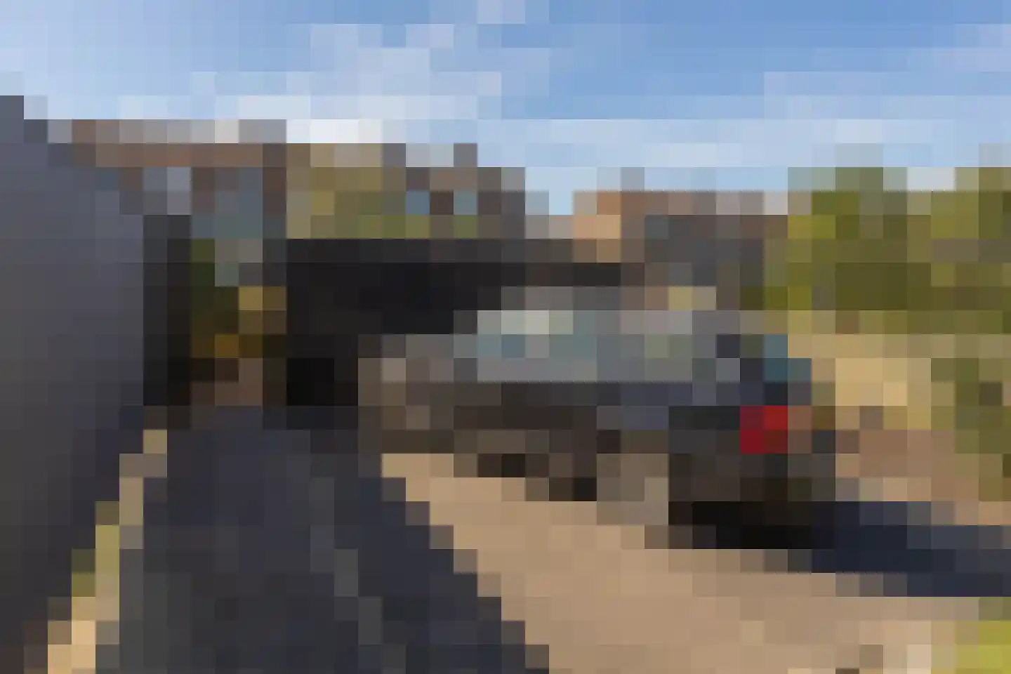 Doctor Poelsstraat 21 Elsloo thumbnail 41