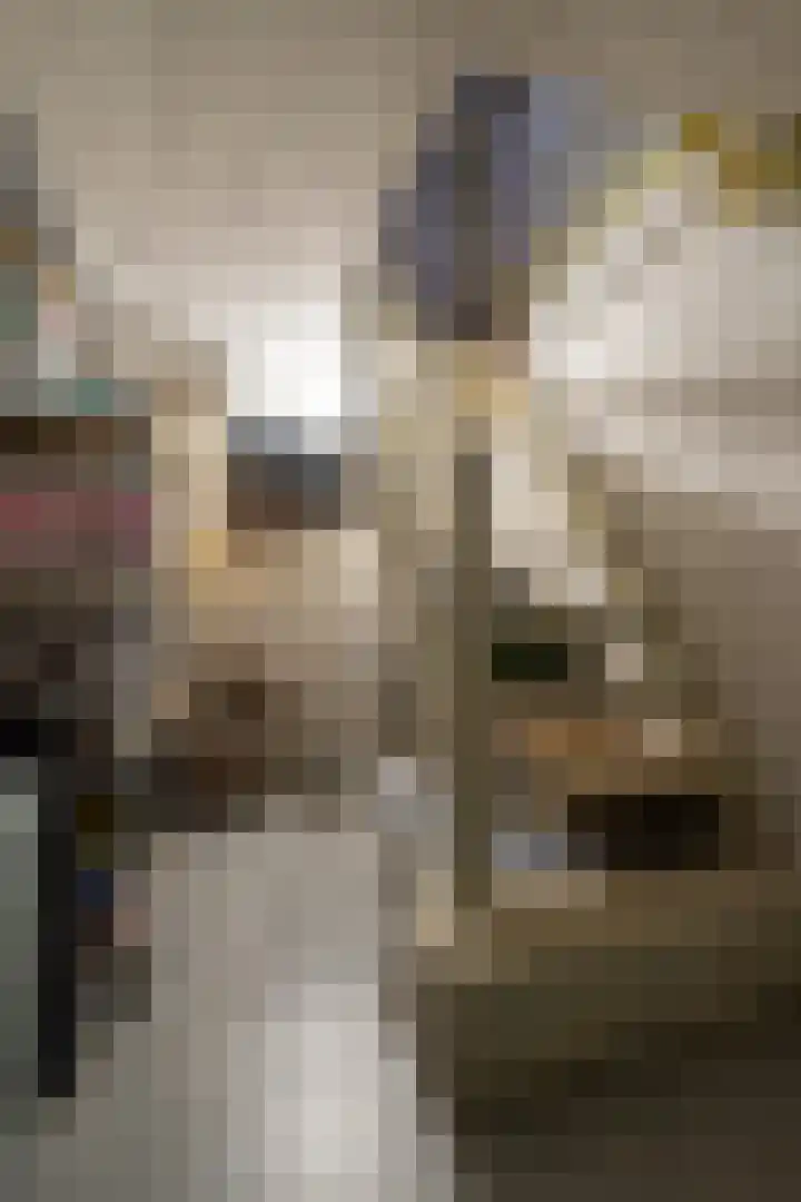 Doctor Poelsstraat 39 Elsloo thumbnail 32