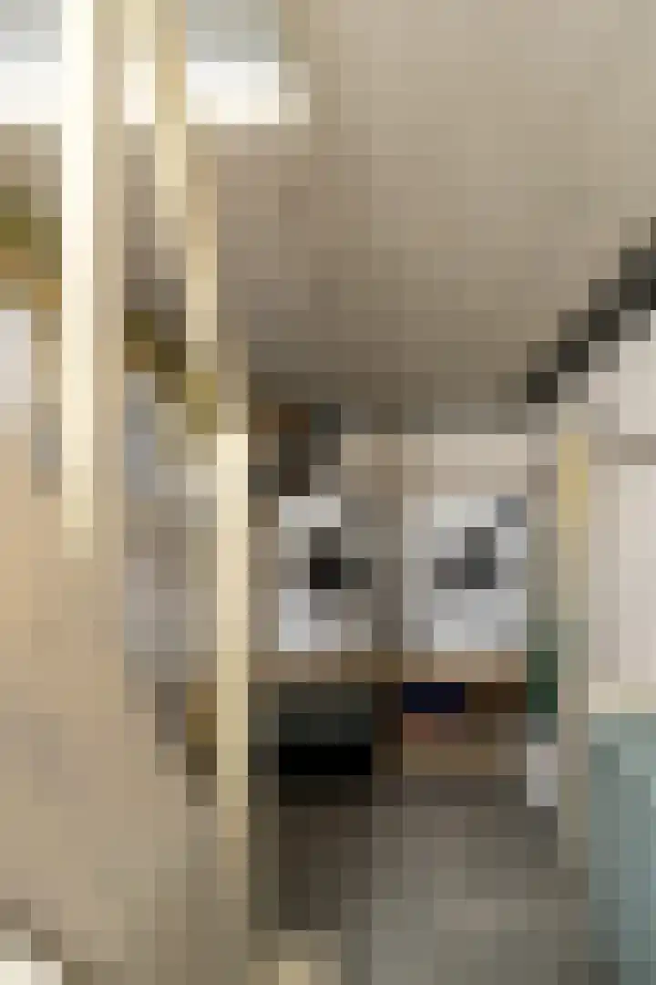 Doctor Poelsstraat 39 Elsloo thumbnail 33