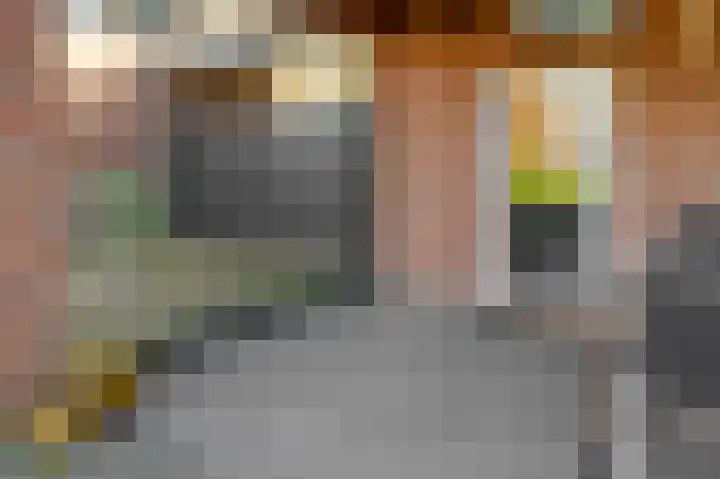 Doctor Poelsstraat 39 Elsloo thumbnail 34