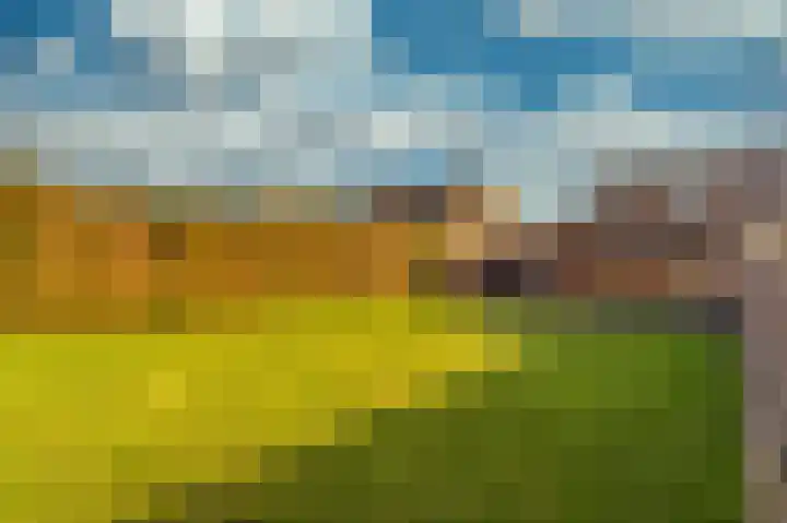 Doctor Poelsstraat 39 Elsloo thumbnail 38