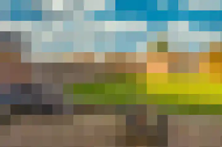 Doctor Poelsstraat 39 Elsloo thumbnail 39