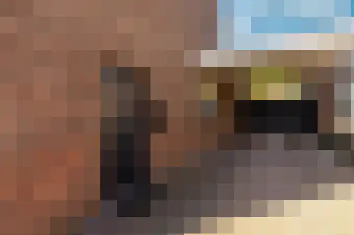 Doctor Poelsstraat 39 Elsloo thumbnail 4