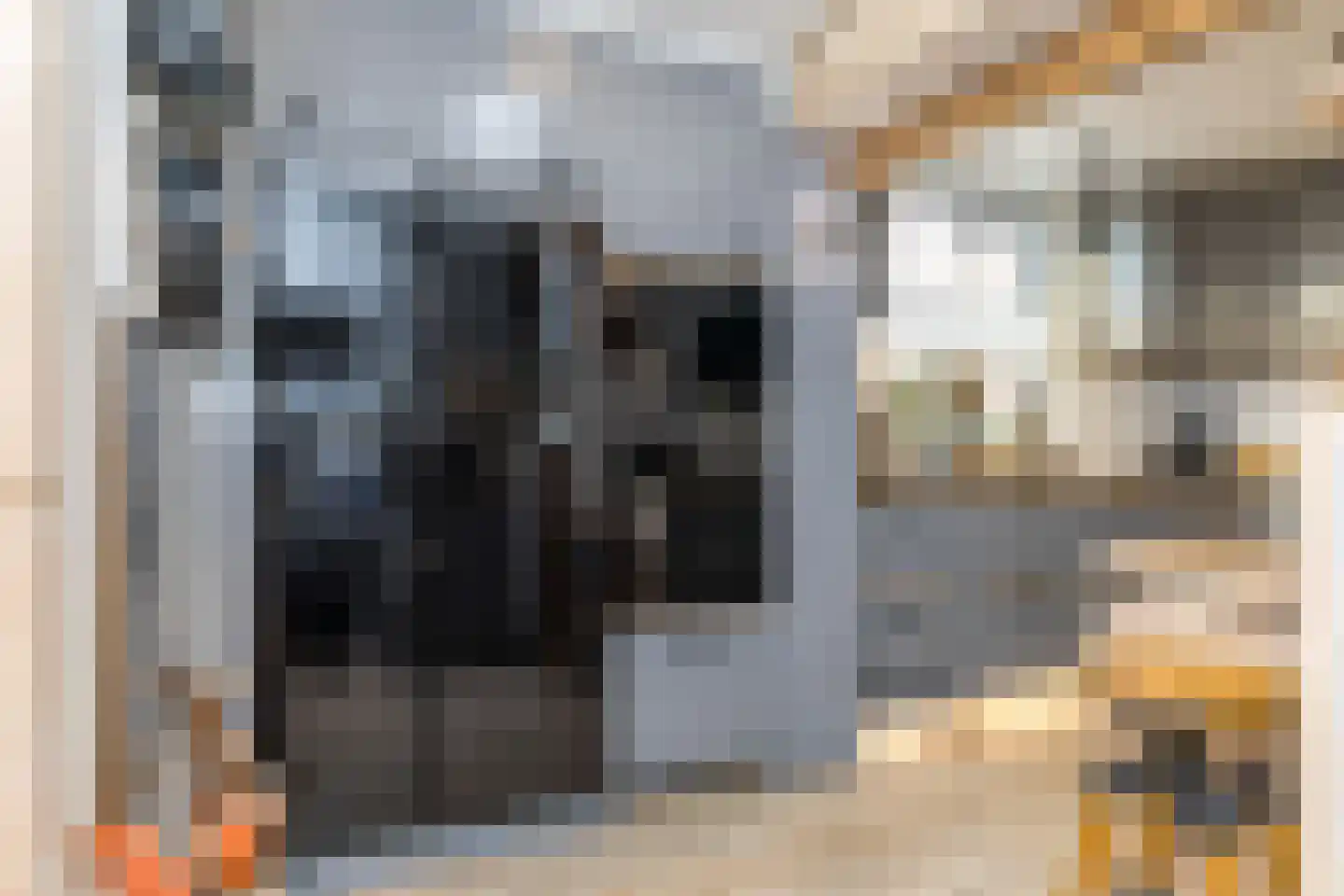 Doctor Poelsstraat 7 Margraten thumbnail 11