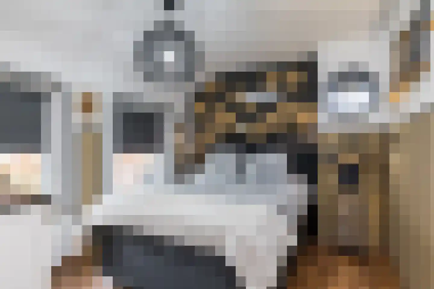 Doctor Poelsstraat 7 Margraten thumbnail 22
