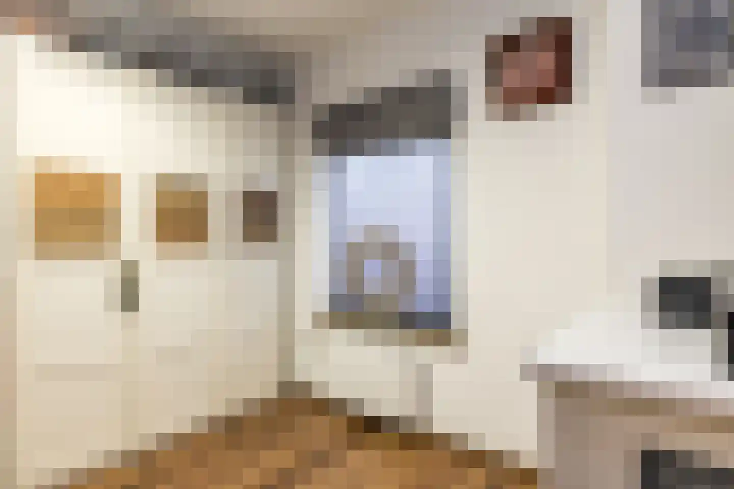 Doctor Poelsstraat 7 Margraten thumbnail 25