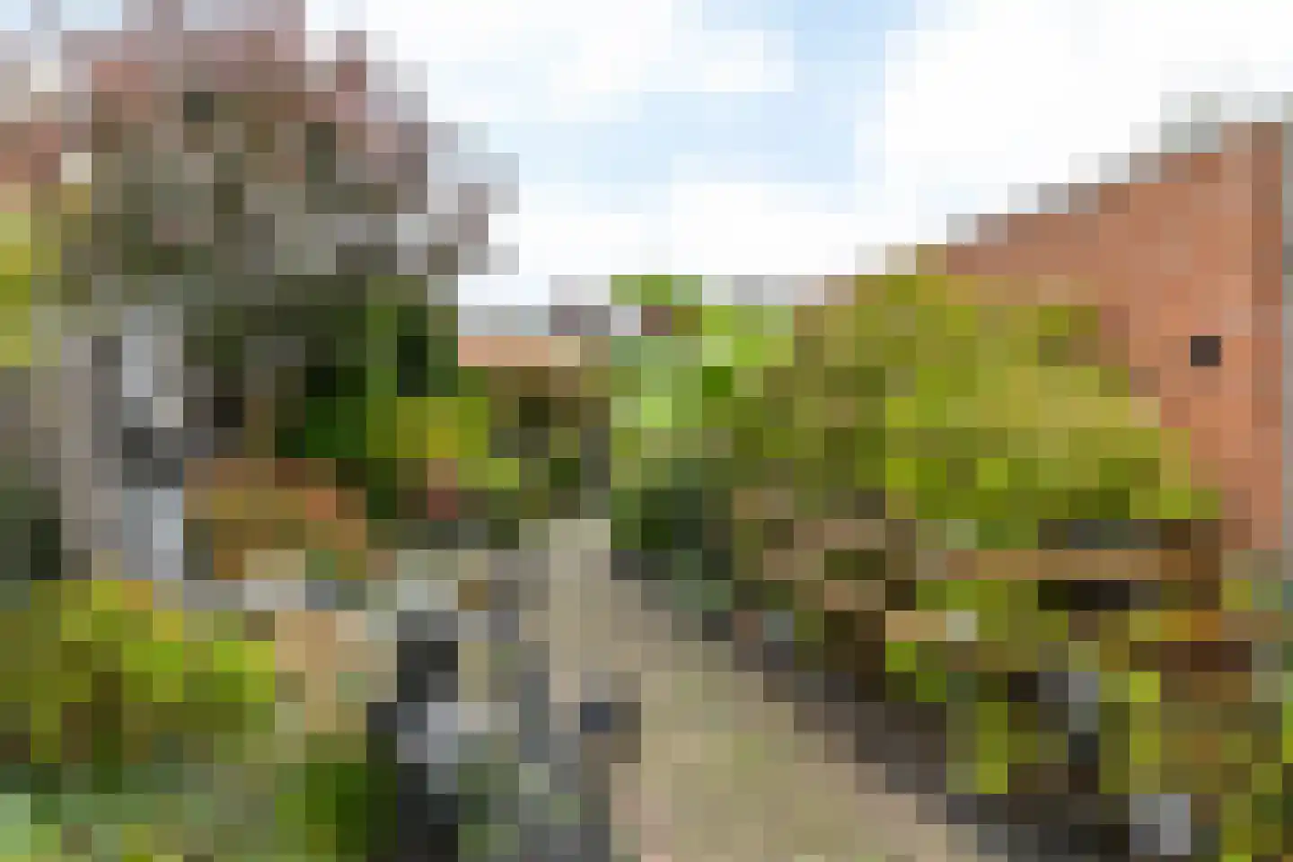 Doctor Poelsstraat 7 Margraten thumbnail 30