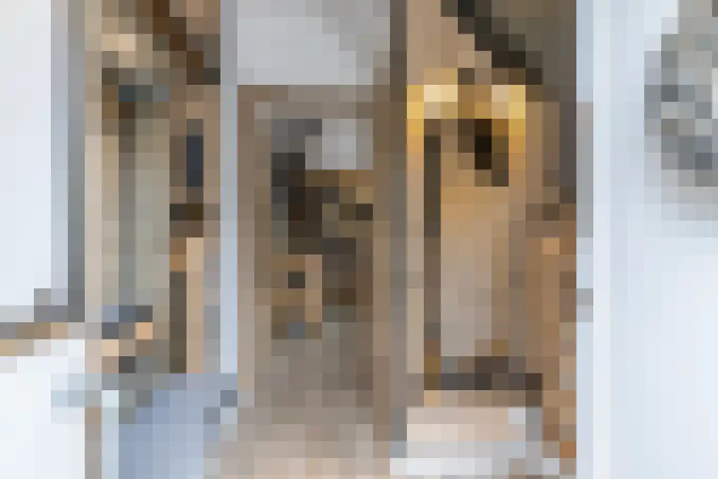 Doctor Poelsstraat 7 Margraten thumbnail 7