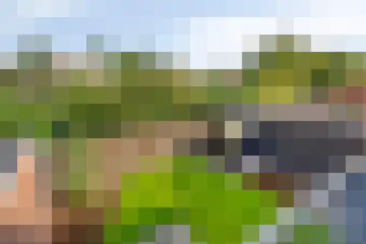 Doctor Poelsstraat 7 Weert thumbnail 36