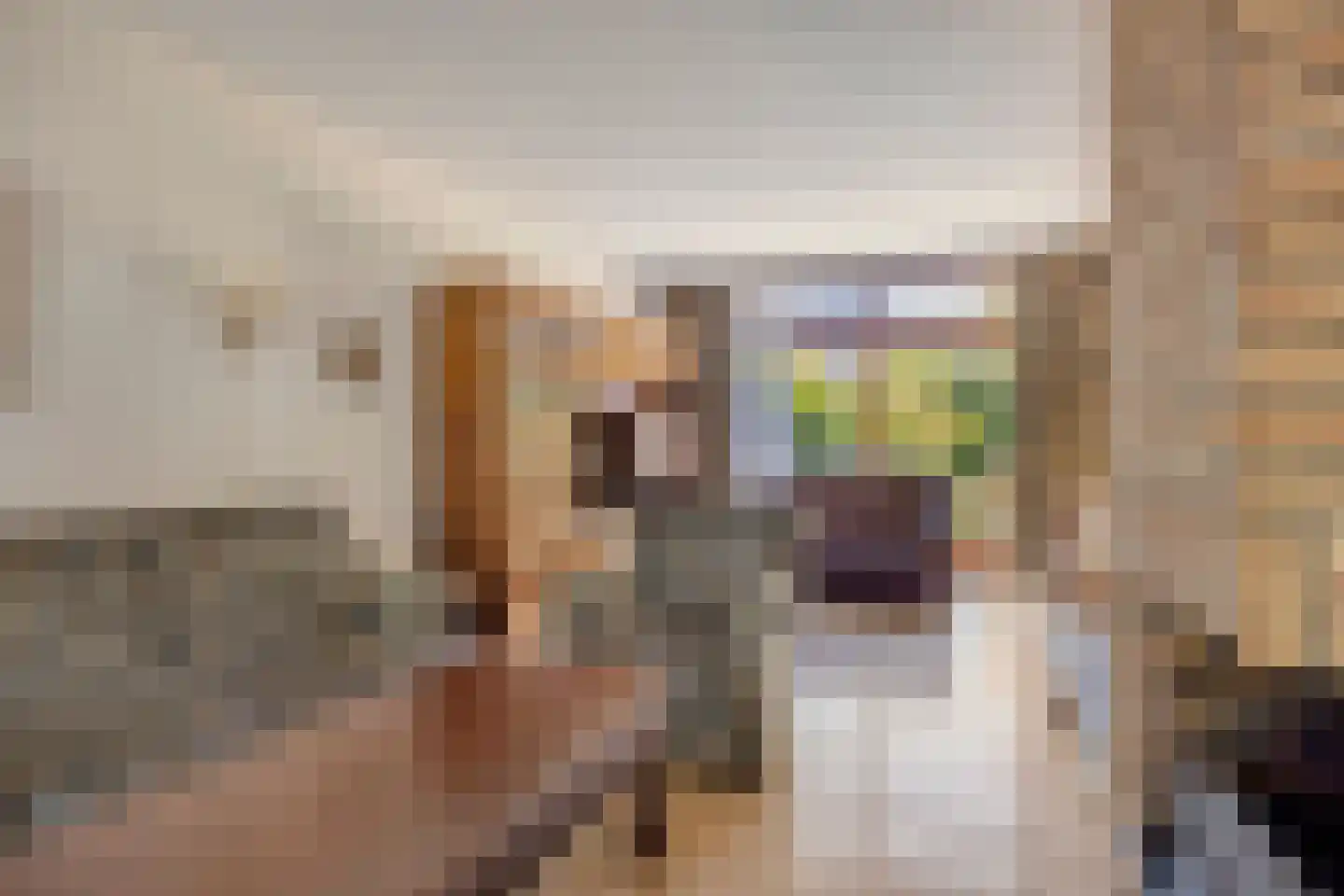 Doctor Saal van Zwanenberglaan 2 Heesch thumbnail 11