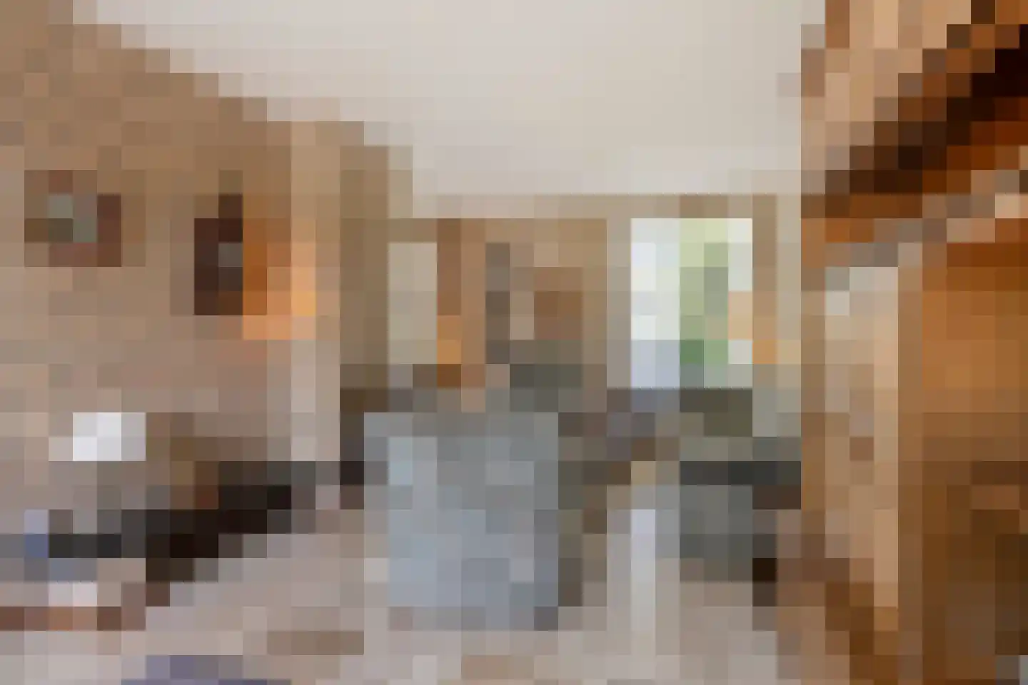 Doctor Saal van Zwanenberglaan 2 Heesch thumbnail 12