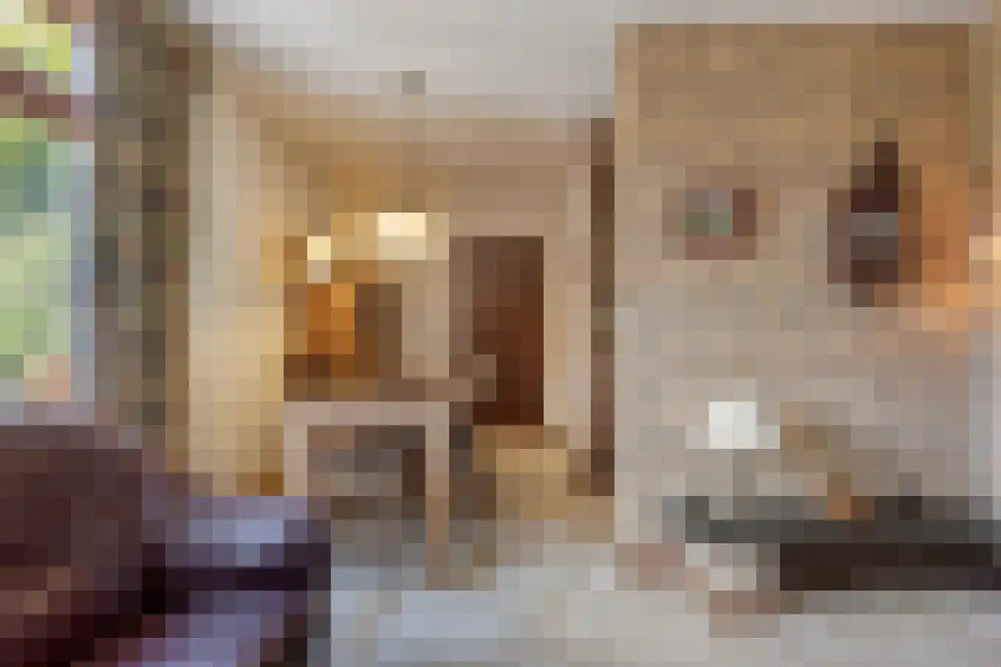 Doctor Saal van Zwanenberglaan 2 Heesch thumbnail 13