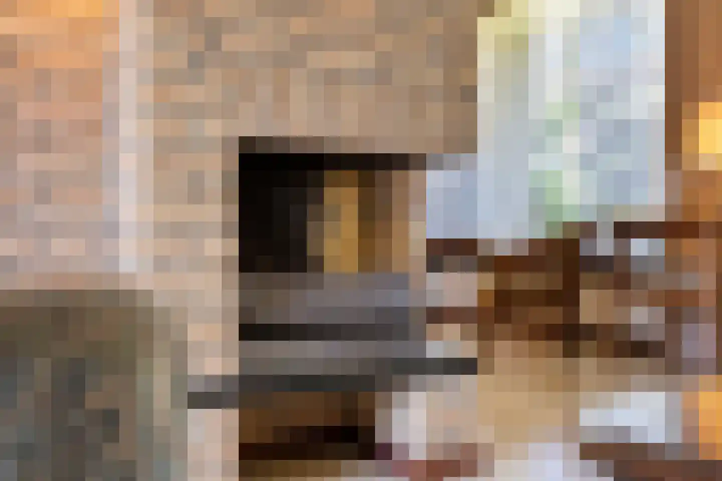 Doctor Saal van Zwanenberglaan 2 Heesch thumbnail 14