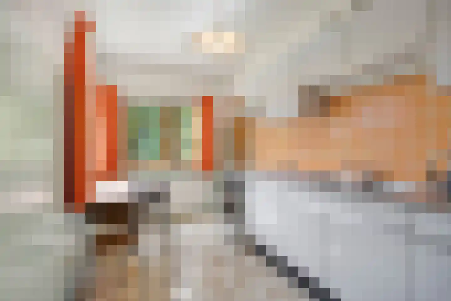 Doctor Saal van Zwanenberglaan 2 Heesch thumbnail 17