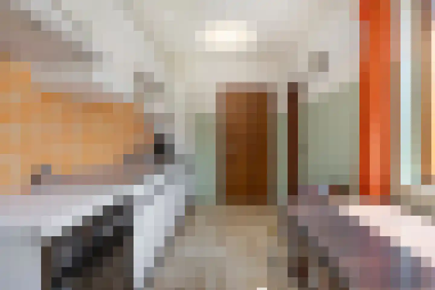 Doctor Saal van Zwanenberglaan 2 Heesch thumbnail 18