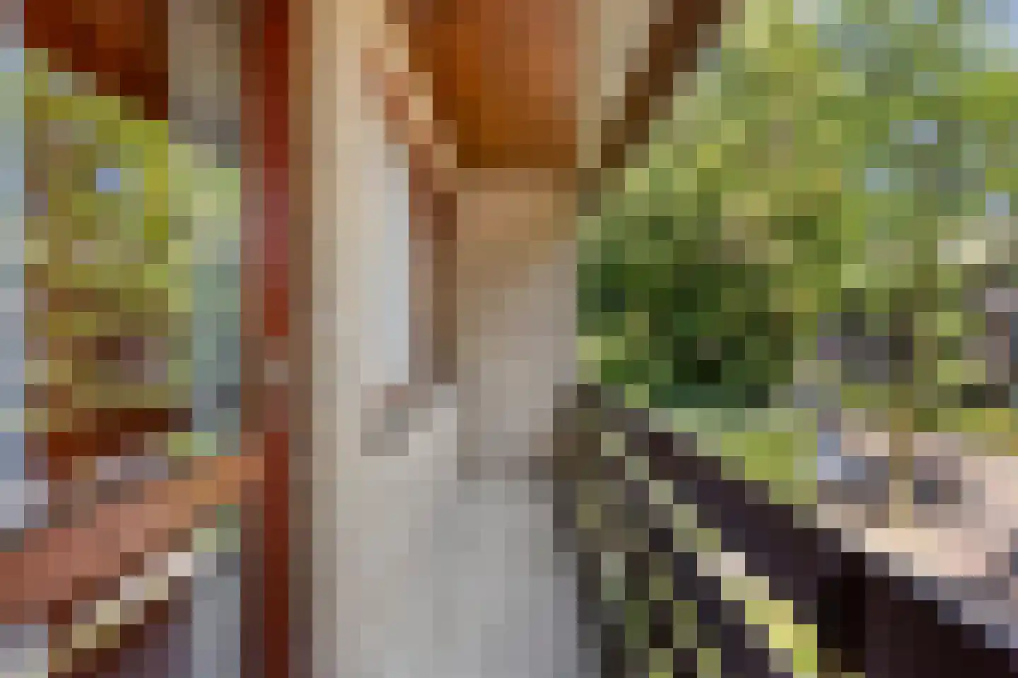 Doctor Saal van Zwanenberglaan 2 Heesch thumbnail 27