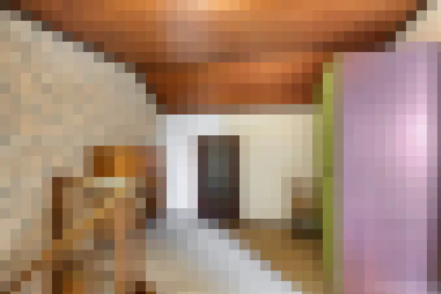 Doctor Saal van Zwanenberglaan 2 Heesch thumbnail 34