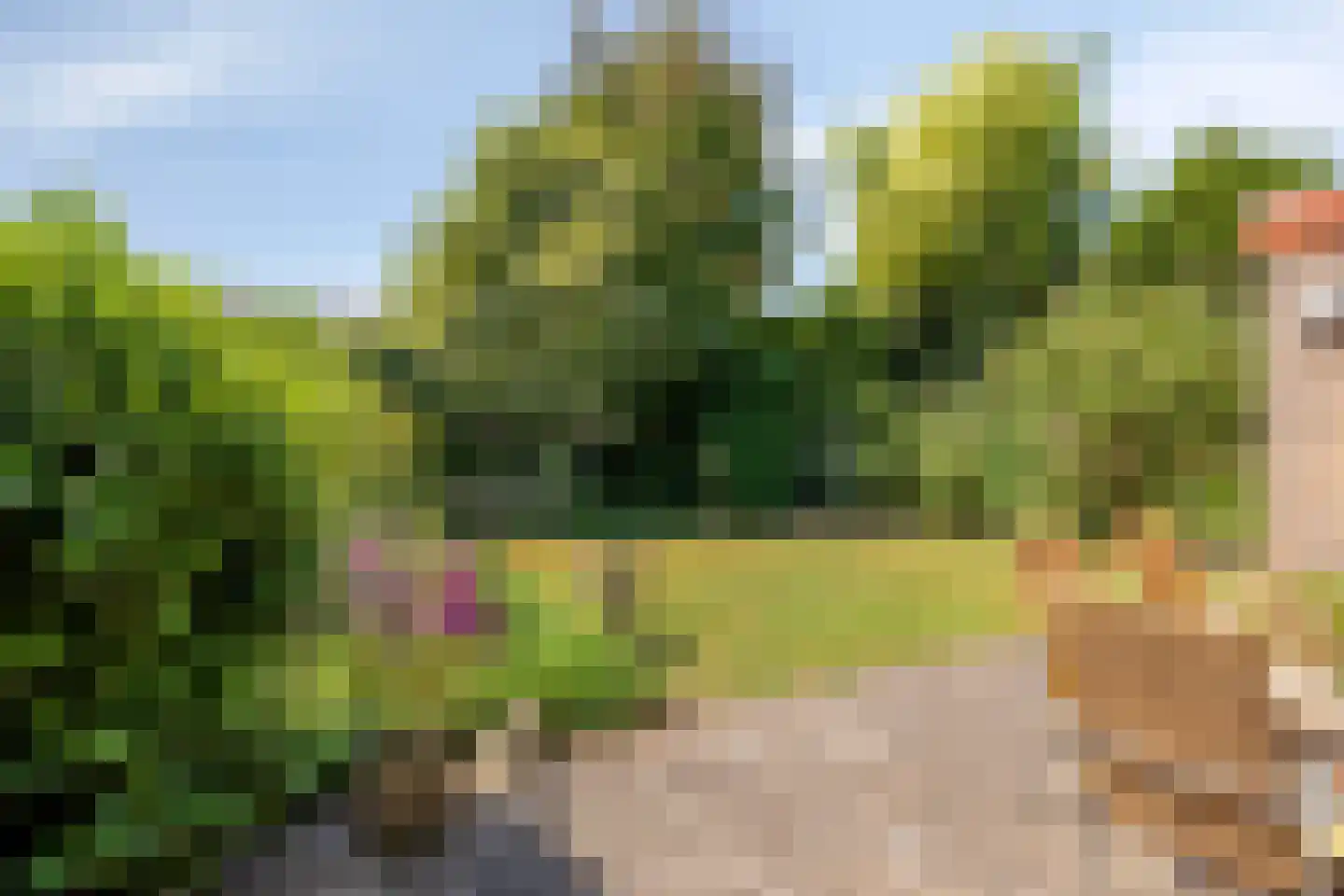 Doctor Saal van Zwanenberglaan 2 Heesch thumbnail 40