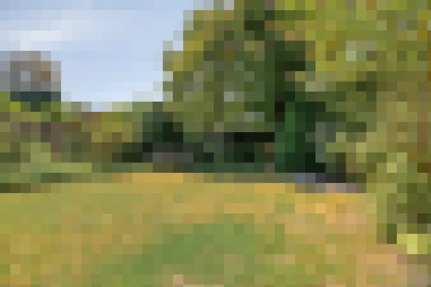 Doctor Saal van Zwanenberglaan 2 Heesch thumbnail 41