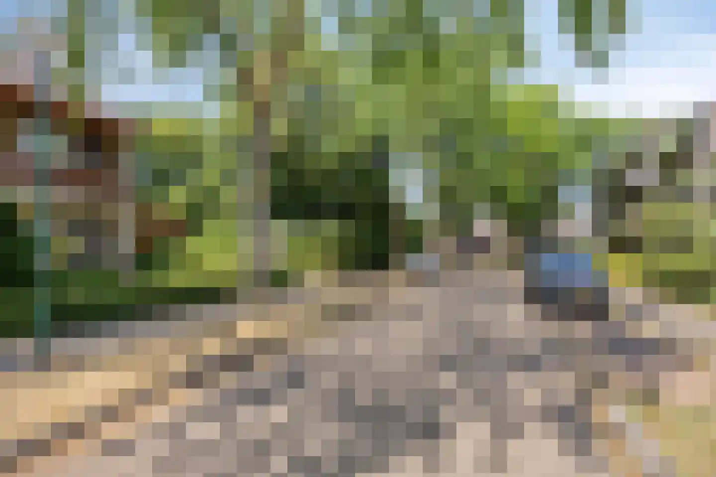 Doctor Saal van Zwanenberglaan 2 Heesch thumbnail 50