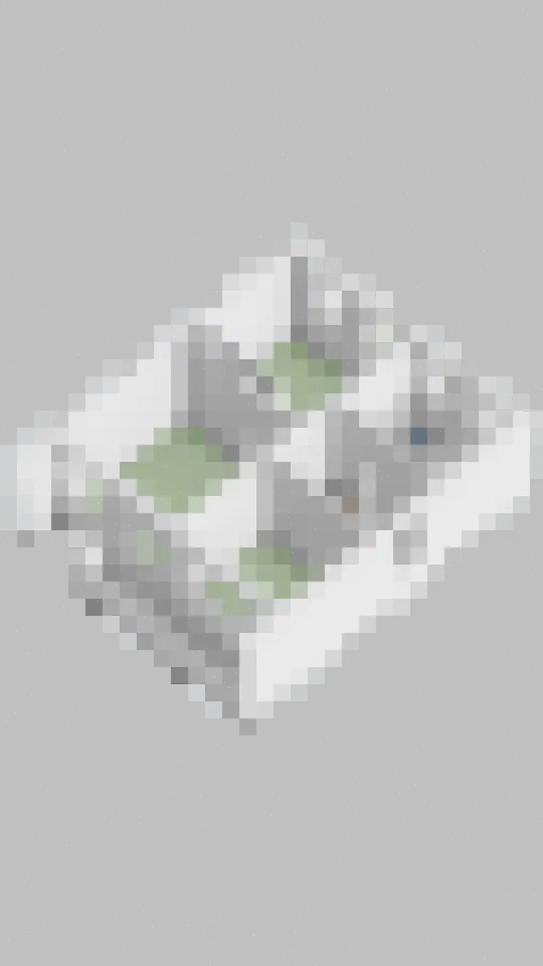 Doctor Saal van Zwanenberglaan 2 Heesch thumbnail 56