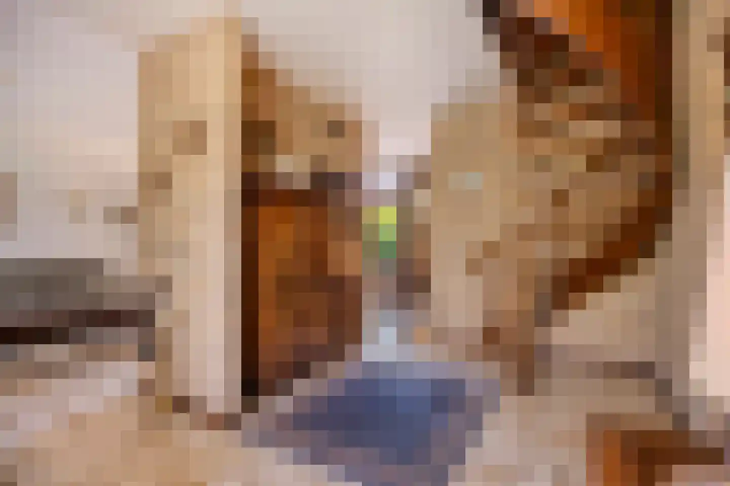 Doctor Saal van Zwanenberglaan 2 Heesch thumbnail 8