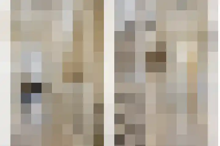 Doctor Saal van Zwanenberglaan 30 Heesch thumbnail 11