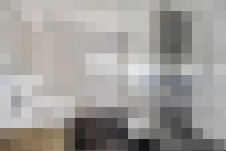 Doctor Saal van Zwanenberglaan 30 Heesch thumbnail 16