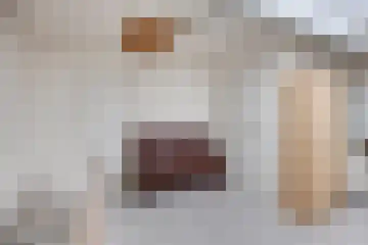 Doctor Saal van Zwanenberglaan 30 Heesch thumbnail 18