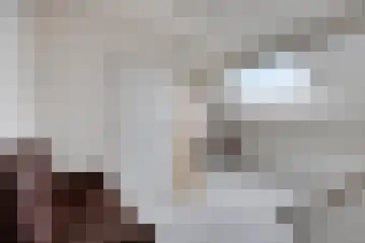 Doctor Saal van Zwanenberglaan 30 Heesch thumbnail 19