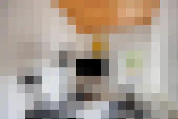 Doctor Saal van Zwanenberglaan 30 Heesch thumbnail 21