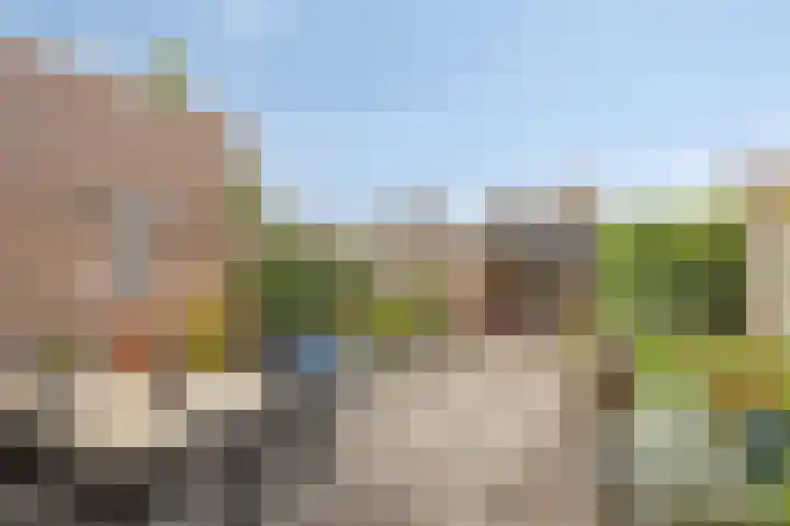 Doctor Saal van Zwanenberglaan 30 Heesch thumbnail 22