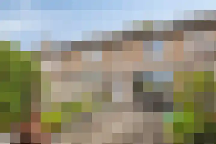 Doctor Saal van Zwanenberglaan 30 Heesch thumbnail 23
