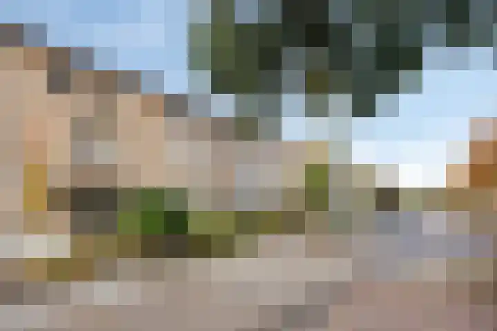 Doctor Saal van Zwanenberglaan 30 Heesch thumbnail 24
