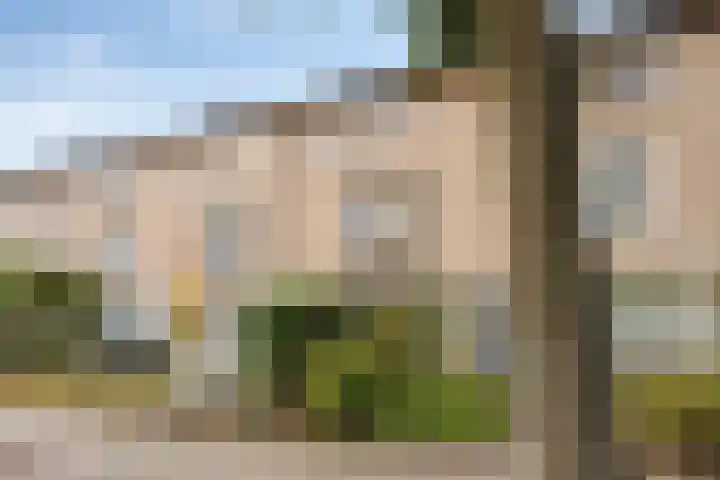 Doctor Saal van Zwanenberglaan 30 Heesch thumbnail 25