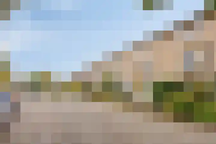 Doctor Saal van Zwanenberglaan 30 Heesch thumbnail 26