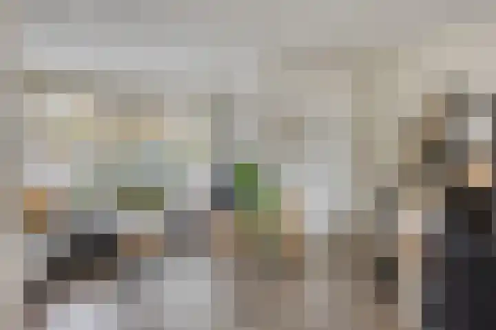 Doctor Saal van Zwanenberglaan 30 Heesch thumbnail 4