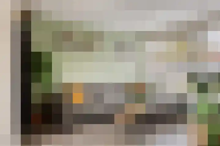 Doctor Saal van Zwanenberglaan 30 Heesch thumbnail 5