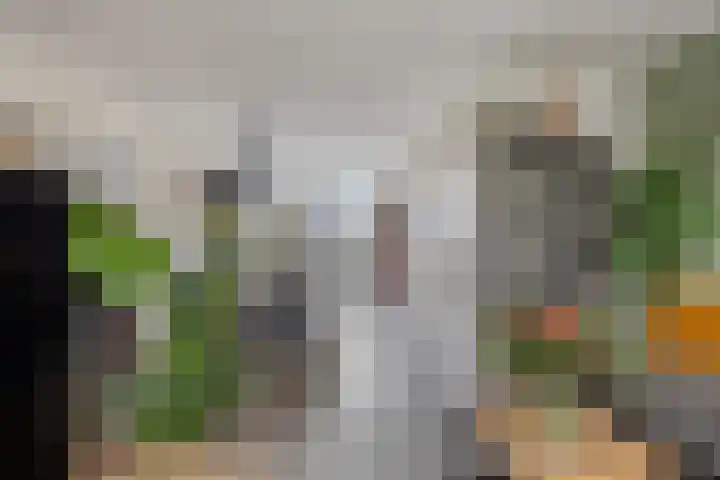 Doctor Saal van Zwanenberglaan 30 Heesch thumbnail 6