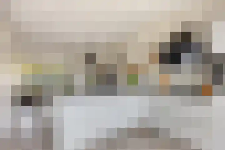 Doctor Saal van Zwanenberglaan 30 Heesch thumbnail 7