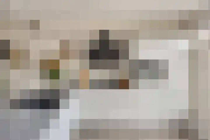 Doctor Saal van Zwanenberglaan 30 Heesch thumbnail 8