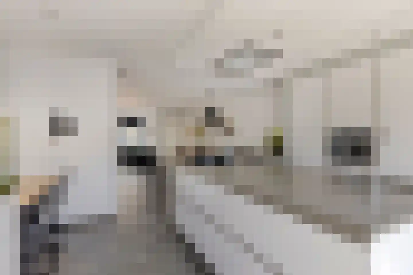 Doctor Saal van Zwanenberglaan 58 Heesch thumbnail 10